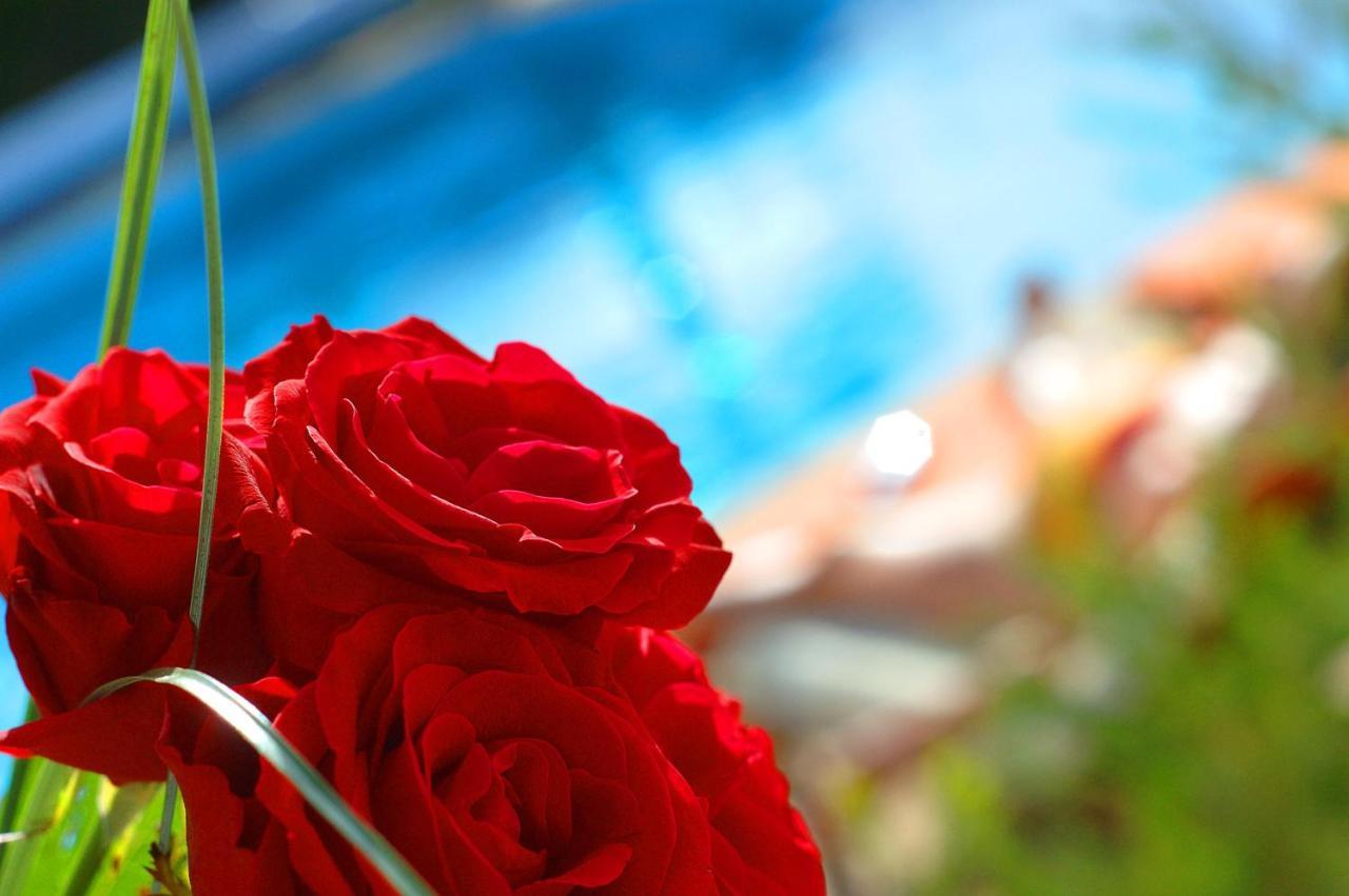 פורצ'ס Casa Bela Moura, Boutique Hotel & Wine מראה חיצוני תמונה